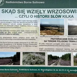 zolty-szlak-fortyfikacje-wrzosy-5